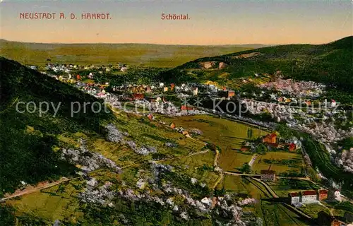 Neustadt Haardt Fliegeraufnahme Sch?ntal Kat. Neustadt an der Weinstr.