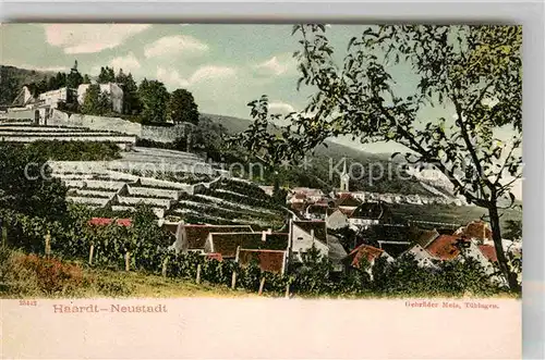 Neustadt Haardt  Kat. Neustadt an der Weinstr.