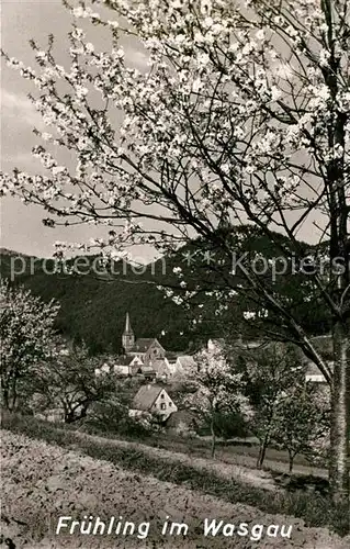 Erfweiler Pfalz Fruehling im Wasgau Gasthaus zum Jaegerhof