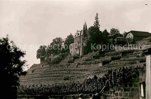 Neustadt Haardt Schloss Kat. Neustadt an der Weinstr.