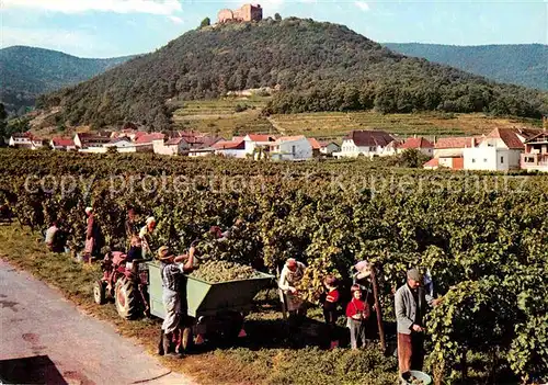 Neustadt Weinstrasse Weinlese mit Hambacher Schloss Kat. Neustadt an der Weinstr.