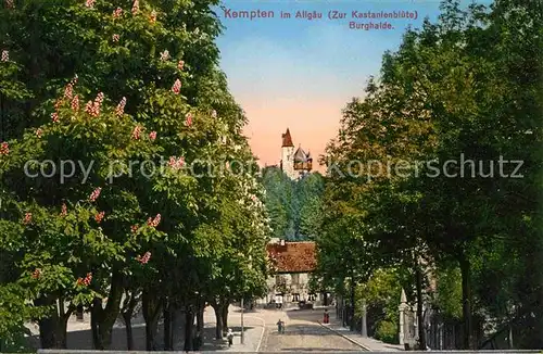 Kempten Allgaeu Burghalde Kastanienbluete Kat. Kempten (Allgaeu)