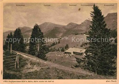 Steibis Hochgrat Rindalphorn  Kat. Oberstaufen