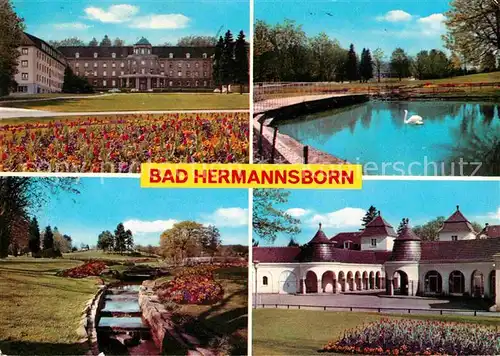 Bad Hermannsborn kurklinik Park Weiher Kat. Bad Driburg