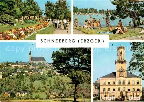 Schneeberg Erzgebirge Promenade Filzteich Kirche Rathaus Kat. Schneeberg