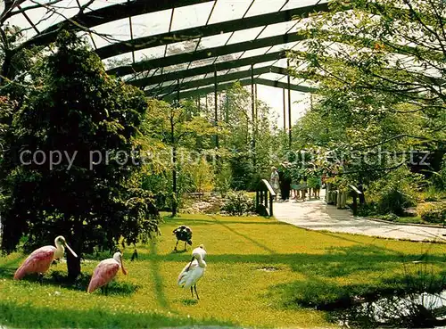 Walsrode Lueneburger Heide Vogelpark  Kat. Walsrode