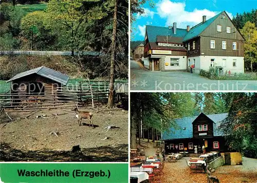 Waschleithe Tierpark Restaurant Osterlamm und Koehlerhuette Kat. Beierfeld Erzgebirge