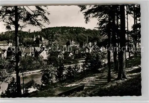 Weissenstein Pforzheim Waldpartie mit Blick auf die Nagold