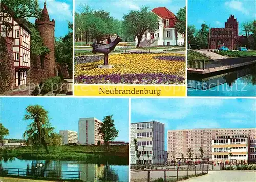 Neubrandenburg Stadtpark Treptower Tor Schwanenteich Kat. Neubrandenburg