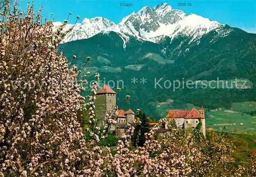 Meran Merano Schloss Tirol im Fruehling