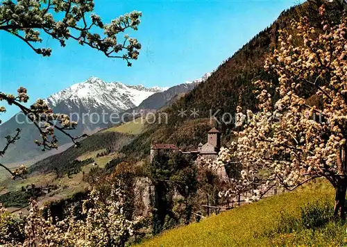 Merano Suedtirol Castel Tirolo mit Ziel spitze Kat. Merano