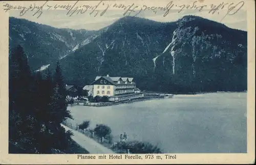 Tirol Region Plansee Hotel Forelle / Innsbruck /Innsbruck