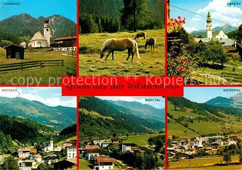 Wildschoenau Tirol Thierbach Oberau Auffach Muehltal Niederau