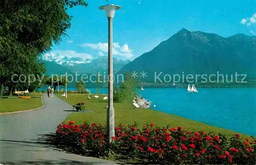 Hilterfingen Thunersee Strandpromenade Bluemlisalp Niesen Berner Alpen