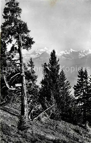 Crans sur Sierre Gebirgspanorama Weisshorn Rothorn Gabelhorn Walliser Alpen Kat. Crans Montana