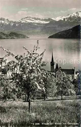 Weggis Vierwaldstaettersee mit Nieder und Oberbauen Baumbluete Alpen