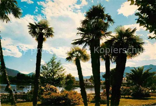 Muralto Lago Maggiore Uferpromenade am See Palmen