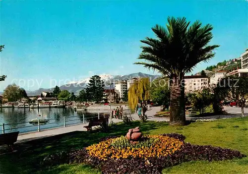 Locarno Lago Maggiore Uferpromenade am See Palme