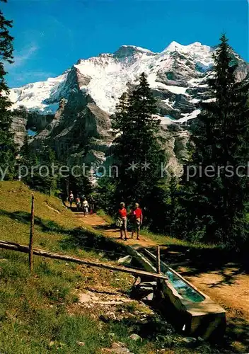 Wengen BE Mettlenalpweg Brunnen Bergwandern Jungfrau Berner Alpen Kat. Wengen