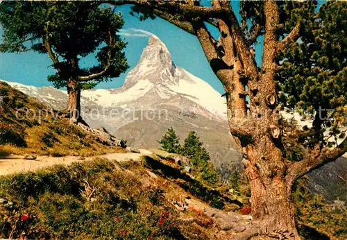 Zermatt VS Gebirgspanorama mit Matterhorn Walliser Alpen Kat. Zermatt