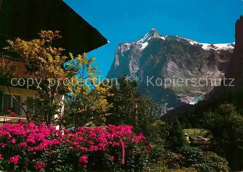 Grindelwald Ortspartie mit Blick zum Wetterhorn Berner Alpen Kat. Grindelwald
