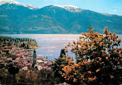 Ascona Lago Maggiore Panorama