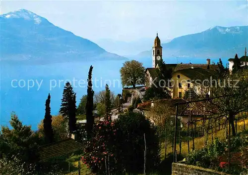 Ronco sopra Ascona Ortsansicht mit Kirche Lago Maggiore Alpen