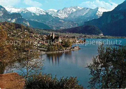 Brienz BE Brienzersee Alpenpanorama Kat. Brienz