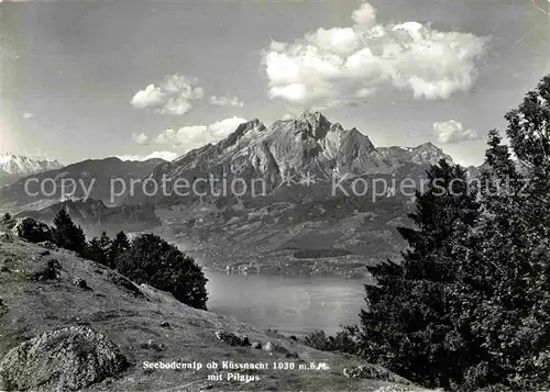 Kuessnacht Seebodenalp mit Pilatus Vierwaldstaettersee Alpenpanorama Kat. Kuessnacht