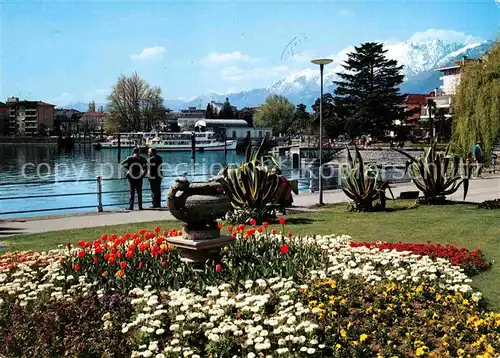 Locarno Lago Maggiore Uferpromenade am See Blumenbeet