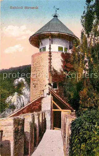 Arlesheim Schloss Birseck Kat. Arlesheim