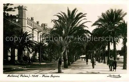 Palma de Mallorca Paseo Sagrera Palmen Kat. Palma de Mallorca