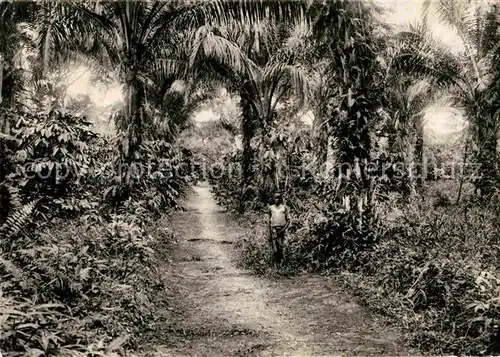 Gabon Plantations Kat. Kongo