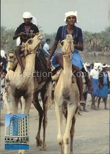 Kamele Camel racing in Aljah Kat. Tiere