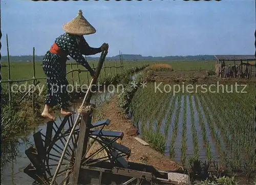 Landwirtschaft Rice Planting Suigo District Itako Kat. Landwirtschaft