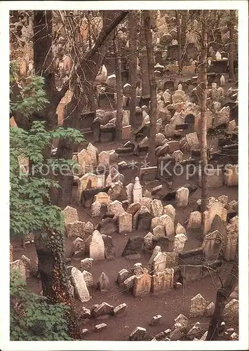 Friedhof Praha Stary Zidovsky Hrbitov  Kat. Tod