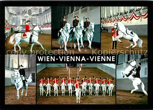 Reitsport Pferdesport Pferderennen Wien Spanische Reitschule  Kat. Sport