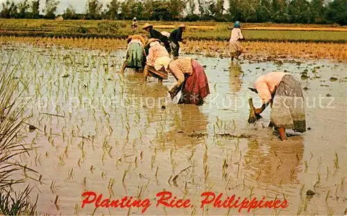 Landwirtschaft Planting Rice Philippines  Kat. Landwirtschaft