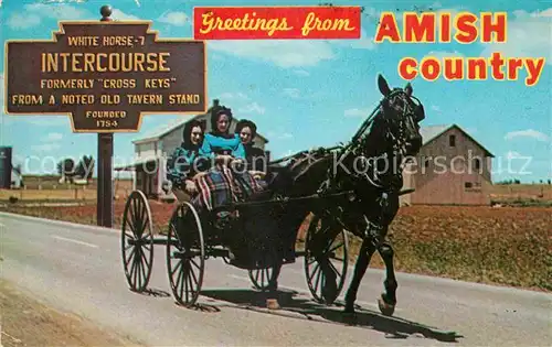 Pferdekutschen Amish Country Horse and Buggy  Kat. Tiere
