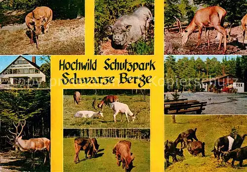 Tiere Hochwild Schutzpark Schwarze Berge Vahrendorf Hirsch Schweine Kat. Tiere