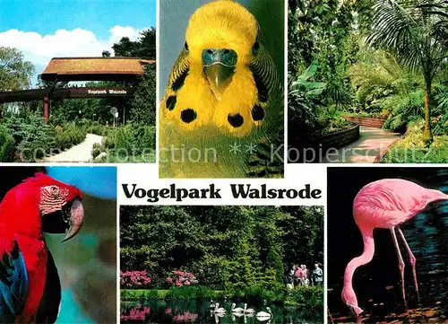 Voegel Vogelpark Walsrode Flamingo Papagei  Kat. Tiere