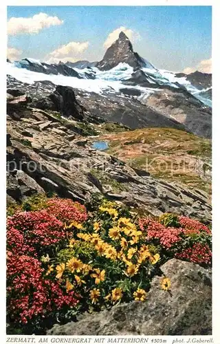 Foto Gaberell J. Nr. 12838 Zermatt Gornergrat Matterhorn  Kat. Fotografie