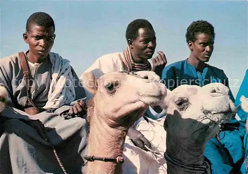 Typen Afrika Kamele Kameltreiber Fleuve Region 