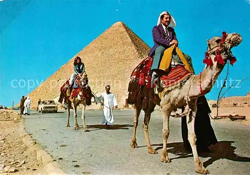 Kamele Giza Biggesr Pyramid  Kat. Tiere