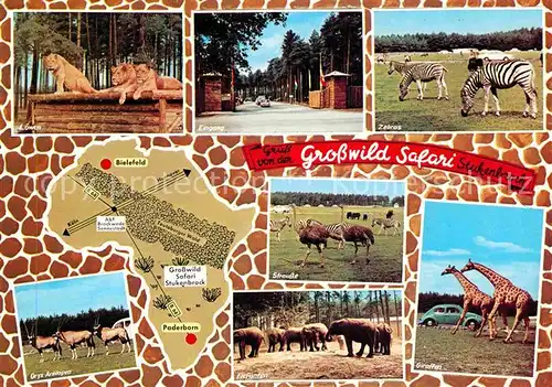 Tiere Grosswild Safari Stukenbrock Giraffe Strauss Zebra Oryxantilopen  Kat. Tiere