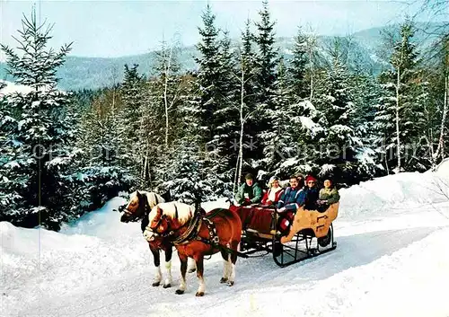 Pferdeschlitten Bayerischer Wald 