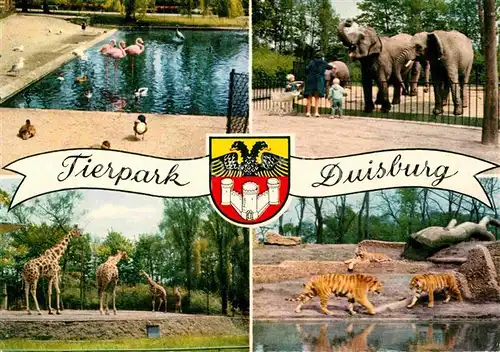 Zoo Tierpark Duisburg Flamingo Elefant Giraffe Tiger  Kat. Tiere