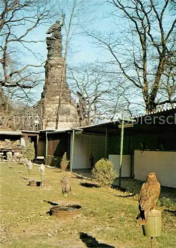 Voegel Adlerwarte und Falkenhof Ruedesheim Niederwalddenkmal  Kat. Tiere