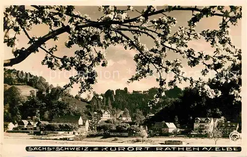 Foto Hahn Nr. 857 Rathen Saechsische Schweiz  Kat. Fotografie