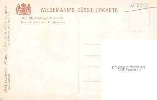 Verlag Wiedemann WIRO Nr. 2480 A Bad Blankenburg Schwarzatal Gesamtansicht  Kat. Verlage